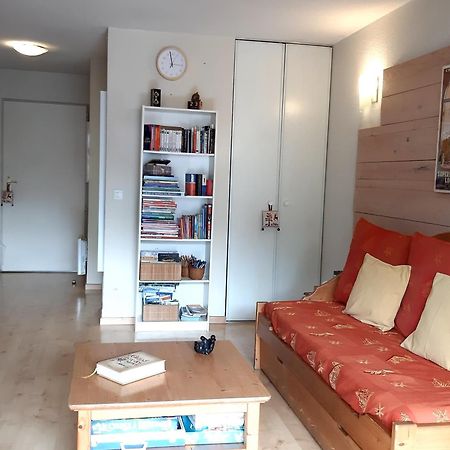 Le 102, T3 Pour 5 Personnes, Vue Montagne, Classe 2 Etoiles Nf, Parking, Piscine En Ete Bagneres-de-Luchon Экстерьер фото