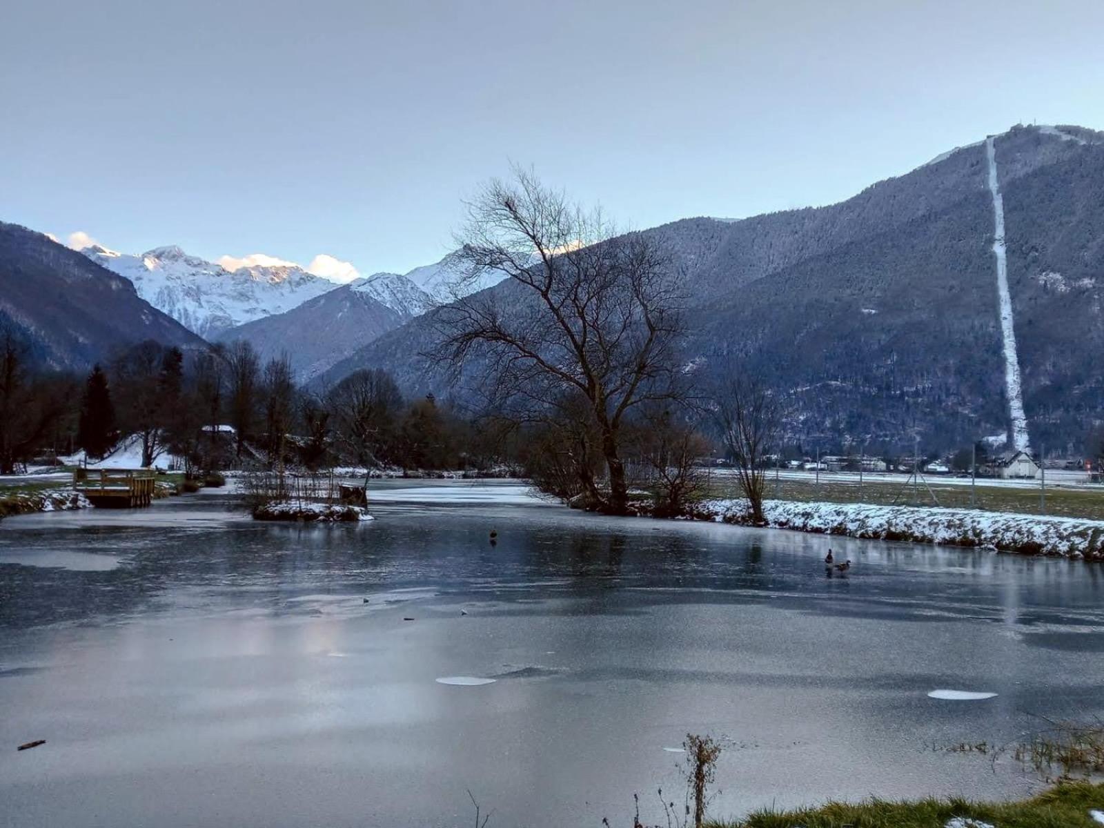 Le 102, T3 Pour 5 Personnes, Vue Montagne, Classe 2 Etoiles Nf, Parking, Piscine En Ete Bagneres-de-Luchon Экстерьер фото