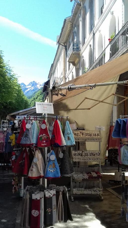 Le 102, T3 Pour 5 Personnes, Vue Montagne, Classe 2 Etoiles Nf, Parking, Piscine En Ete Bagneres-de-Luchon Экстерьер фото