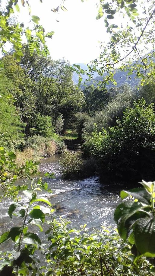 Le 102, T3 Pour 5 Personnes, Vue Montagne, Classe 2 Etoiles Nf, Parking, Piscine En Ete Bagneres-de-Luchon Экстерьер фото