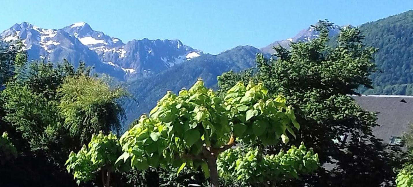 Le 102, T3 Pour 5 Personnes, Vue Montagne, Classe 2 Etoiles Nf, Parking, Piscine En Ete Bagneres-de-Luchon Экстерьер фото